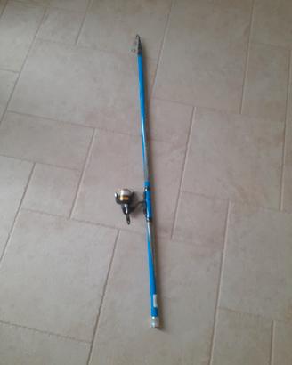 canna bolognese 6mt