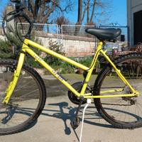 Rampichino Montana donna