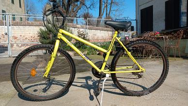 Rampichino Montana donna