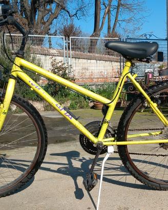 Rampichino Montana donna