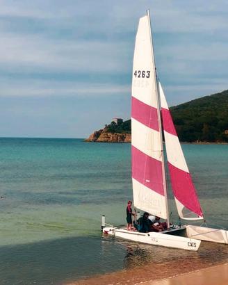 catamarano topcat K1 anno 2000 