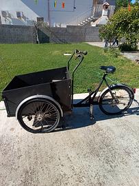 Bici Cargo adulti