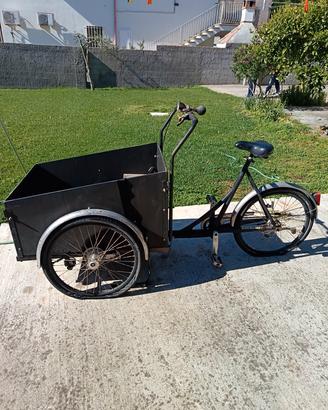 Bici Cargo adulti