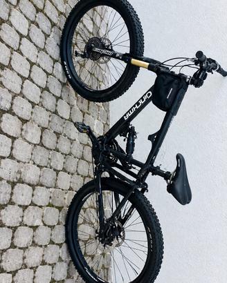 Bici elettrica