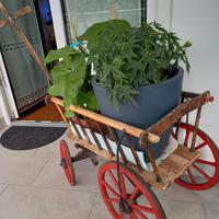 carrettino in legno antico da esposizione  