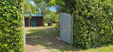 Terreno con rustico a Marina di Pisa