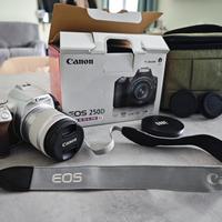 reflex Canon EOS 250d