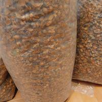 Gusci Mandorle in sacchi da 10kg