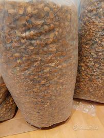 Gusci Mandorle in sacchi da 10kg