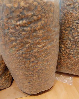 Gusci Mandorle in sacchi da 10kg