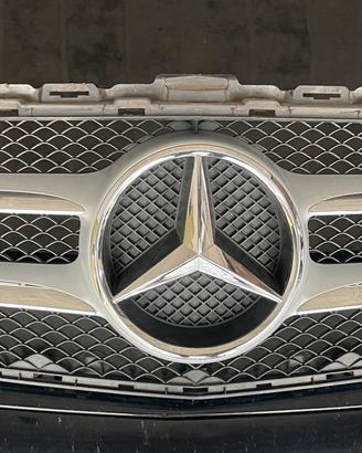 Griglia mercedes benz wr205