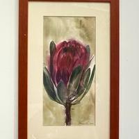Coppia acquerelli botanici originali firmati