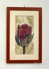 Coppia acquerelli botanici originali firmati