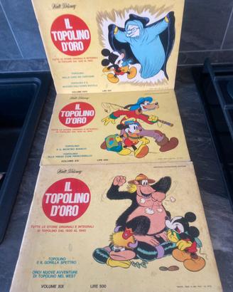 " il topolino d oro"