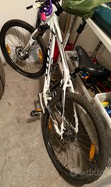 Bicicletta mountain bike Scott