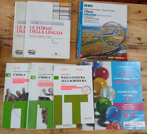 Biennio liceo artistico Varese e altre scuole