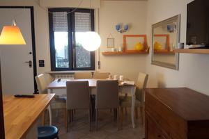 P.terra adiacente pineta