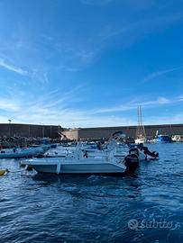 Barca con motore fuoribordo Mercury 40 cavalli 