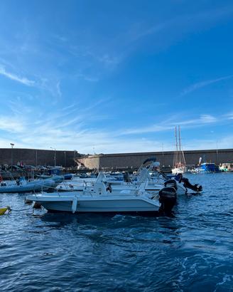 Barca con motore fuoribordo Mercury 40 cavalli 