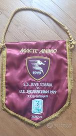 Gagliardetto Juve Stabia Salernitana 2025