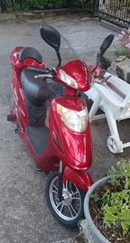 Bicicletta elettrica