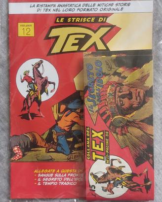 STRISCE DI TEX N.12
