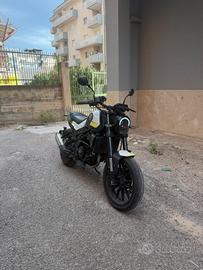 bemolle leoncino  250
