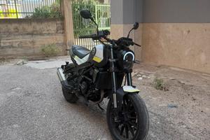 bemolle leoncino  250