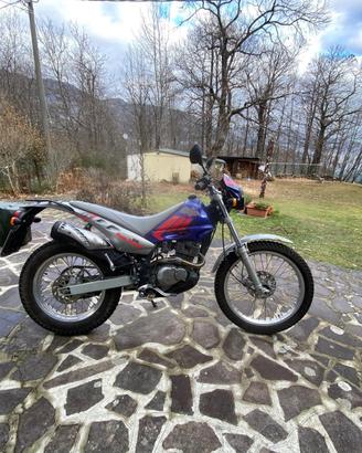 Moto da trial Beta Alp 200