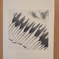 Tullio Diamanti, L'ombra dei cammelli, Incisione