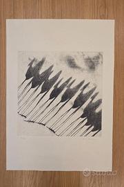 Tullio Diamanti, L'ombra dei cammelli, Incisione