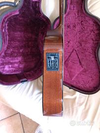 Chitarra  Taylor