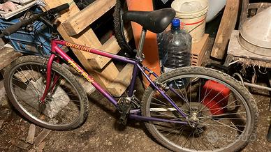Bicicletta specialized vintage