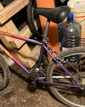 Bicicletta specialized vintage