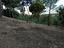 Immagine 11