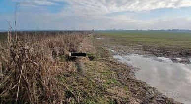 RGE 381/2023 Tribunale Verona - Lotto 2)