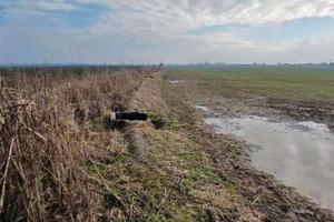 RGE 381/2023 Tribunale Verona - Lotto 2)