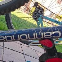 BICI CANNONDALE Vintage