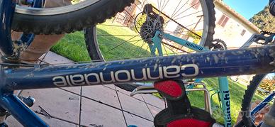 BICI CANNONDALE Vintage