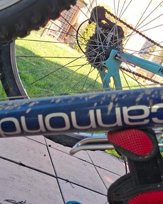 BICI CANNONDALE Vintage