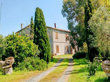 Stazione Bolgheri Azienda agricola 26 ettari