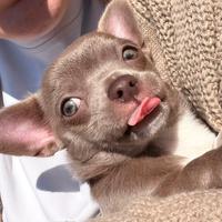 Piccola Sole per una nuova famiglia