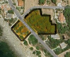 Terreno pineta sul mare