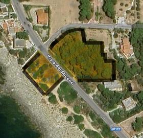 Terreno pineta sul mare