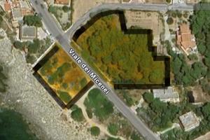 Terreno pineta sul mare