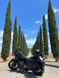 Harley Davidson low rider s 2019