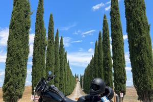 Harley Davidson low rider s 2019