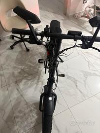 Bicicletta elettrica