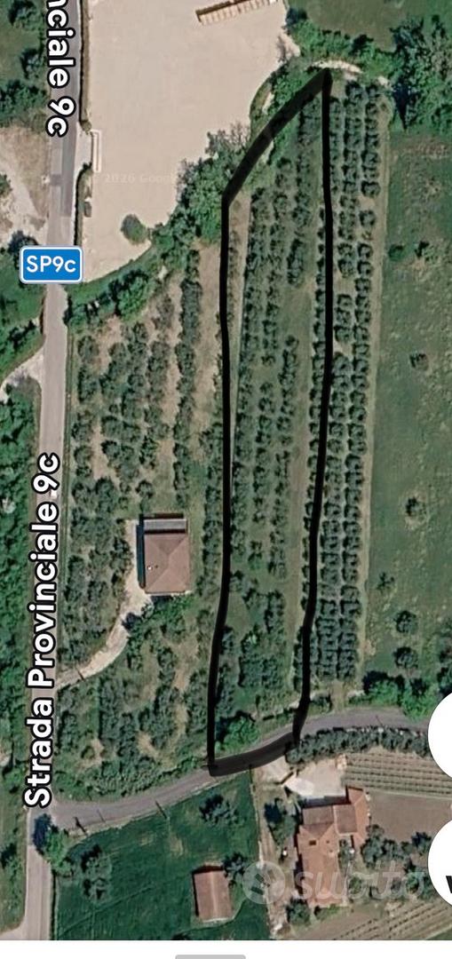 Terreno di 3000 mq - Vista 4