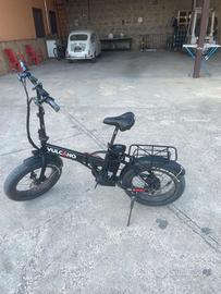 Bici elettrica 250W